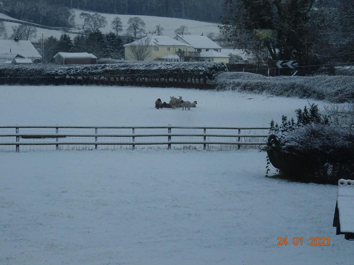 Red Kite Barn Ammanford